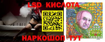 spice Кулебаки