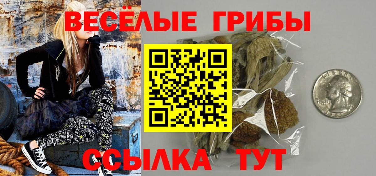 Галлюциногенные грибы GOLDEN TEACHER  Вход с VPN  Елец 